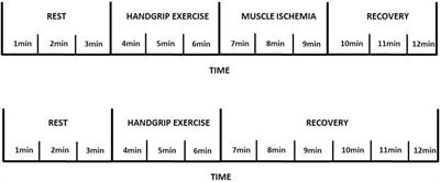 The ventilatory component of the muscle metaboreflex is overstimulated in transthyretin cardiac amyloidosis patients with poor aerobic capacity